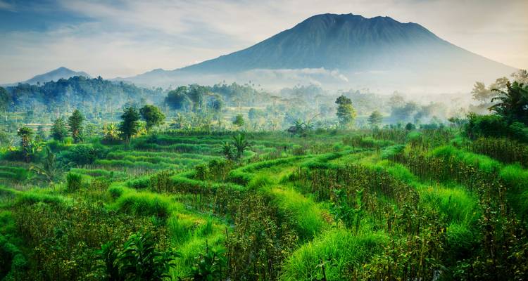 La liste des choses à faire à Bali : Jungle Swing vers la Gate of Heaven ! - journaway 6