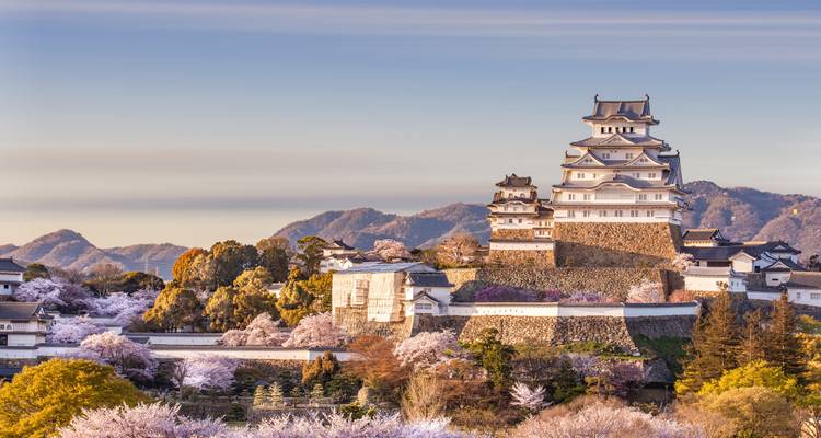 Japón y Hong Kong: ¡El Kung Fu se une a la Cultura Kawaii! (from Hong Kong to Tokio) - journaway 1
