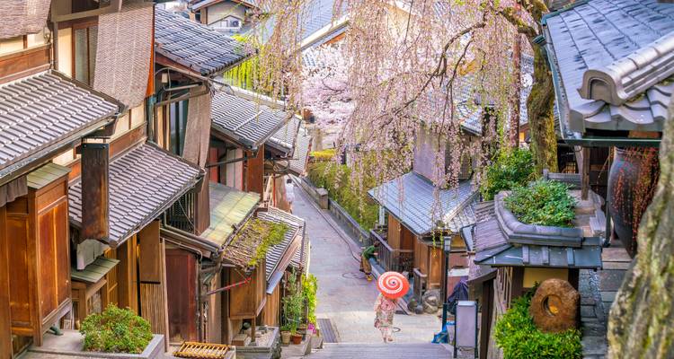 Japón y Hong Kong: ¡El Kung Fu se une a la Cultura Kawaii! (from Hong Kong to Tokio) - journaway 4