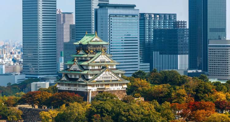 La liste de choses à faire au Japon : Me rencontrer à Tokyo, Okinawa & Kyoto ! - journaway 6