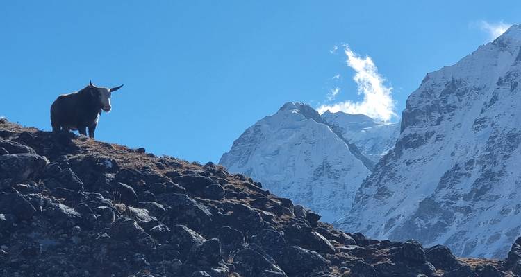 Ruta inexplorada del Kanchenjunga - Getaway Nepal Adventure Pvt. Ltd 2