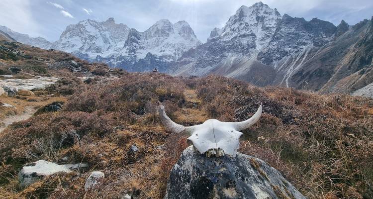 Ruta inexplorada del Kanchenjunga - Getaway Nepal Adventure Pvt. Ltd 9