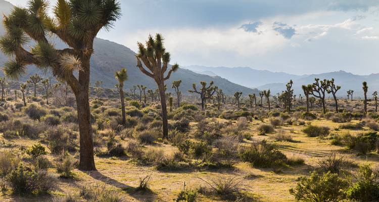 Viaje por carretera a California: maravillas de la costa oeste y ciudades doradas - journaway 8