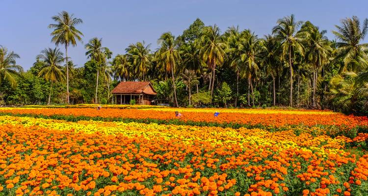 Visit Vietnam : City Lights, Mekong Nights & Island Vibes ! - journaway 6
