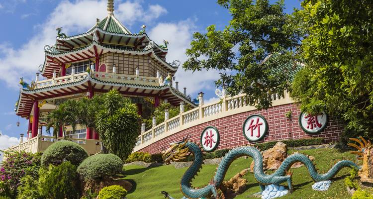 Lista de cosas que hacer en Filipinas: ¡Colinas de Chocolate y Palmtree! - journaway 9