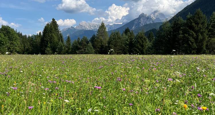 La epopeya de los Alpes al Adriático - Eurocycle Adventures 2