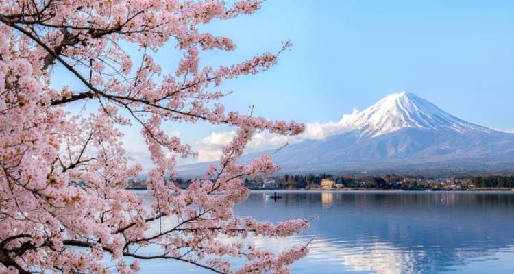 Japon indépendant - 9 jours - Vio Travel 1