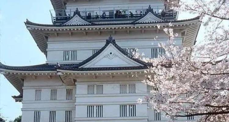 Japon indépendant - 9 jours - Vio Travel 4