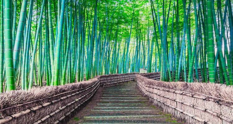 Japon indépendant - 9 jours - Vio Travel 9