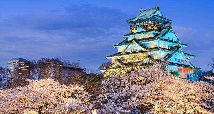 Un château magnifiquement illuminé avec des cerisiers en fleurs la nuit.