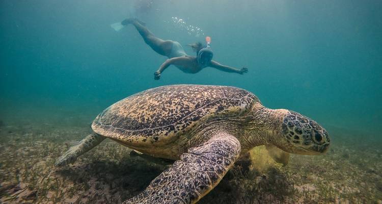 Nosy Be - La perfumada isla de Madagascar - HT Agency Tours 2