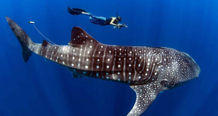 Nosy Be - La perfumada isla de Madagascar - HT Agency Tours 4