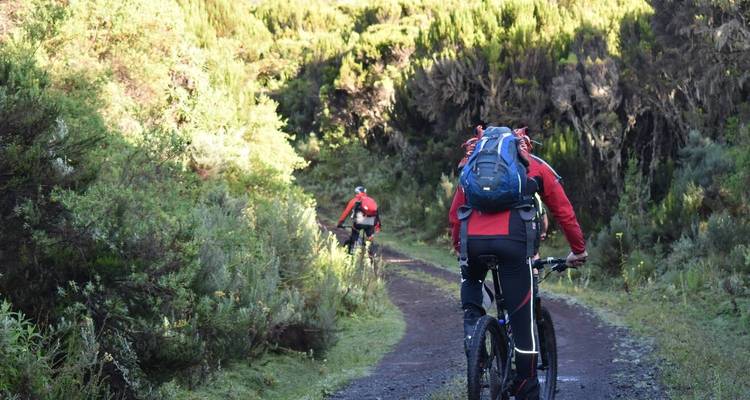 6 Days Mount Kilimanjaro cycling + 2 Nights’ Hotel Stay - kilimanjaro habitas 3