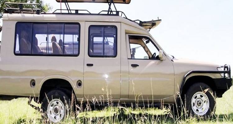 Ein Safari-Fahrzeug, das in einem grasbewachsenen Bereich mit offenem Dach geparkt ist.
