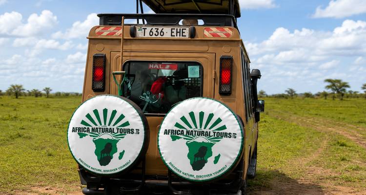 Rückansicht eines Safarijeeps mit Ersatzreifenabdeckungen von Africa Natural Tours, geparkt in einer offenen Ebene.