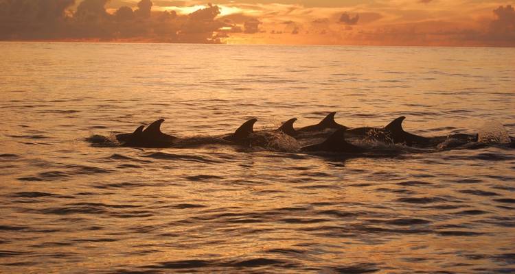 Honduras Exploration 14Days/13Nights - Across Caribbean Excursions  2