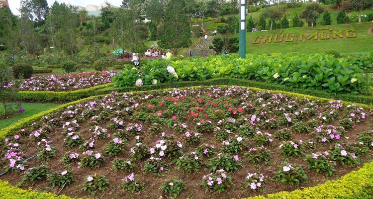 Colorful flower garden with sign 'Chuc Mung' and visitors.