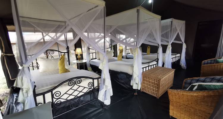 Untamed Tanzania Safari & Culture 9 Days **Sustainable Approach to Travel - World Adventure Tours 10