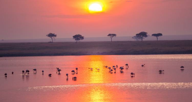 Safari en Tanzanie - Contiki 6
