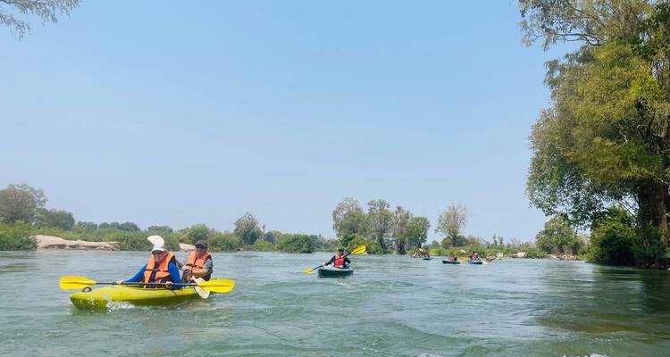 Des personnes en kayak pagaient sur une rivière douce et bordée d'arbres par une belle journée ensoleillée.