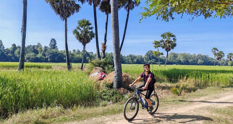 Le cycliste pédale le long d'une piste de terre à côté de rizières verdoyantes et de grands palmiers