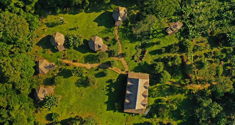 Tambopata Macaw claylick et Sandoval lake - 3 jours/2 nuits - Monte Amazonico Lodge  1