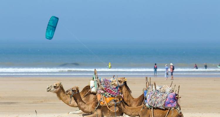 Explora Marrakech, el Atlas y la Costa - Morocco Luxury Tour 8