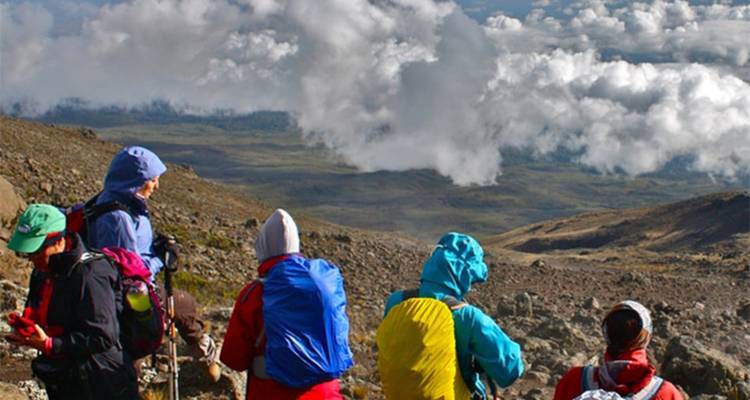 Ascension de 8 jours via la route de Lemosho + 2 nuits d'hôtel - kilimanjaro habitas 4
