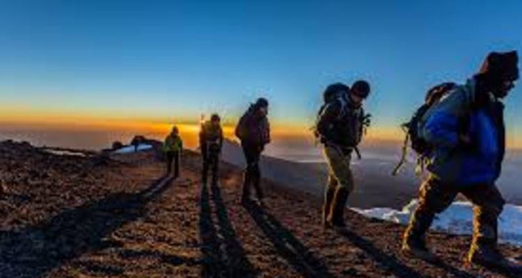 Ascension de 8 jours via la route de Lemosho + 2 nuits d'hôtel - kilimanjaro habitas 9