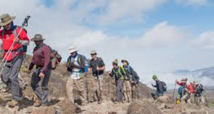 Ascension de 8 jours via la route de Lemosho + 2 nuits d'hôtel - kilimanjaro habitas 10