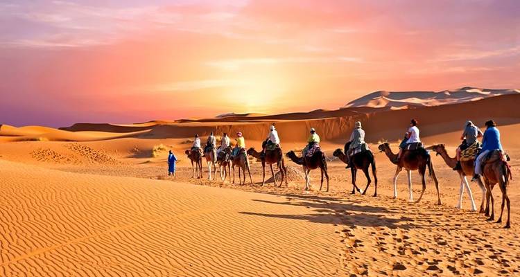 Moroccan Highlights: Fes, the Sahara Desert, & Marrakech - Morocco Luxury Tour 9