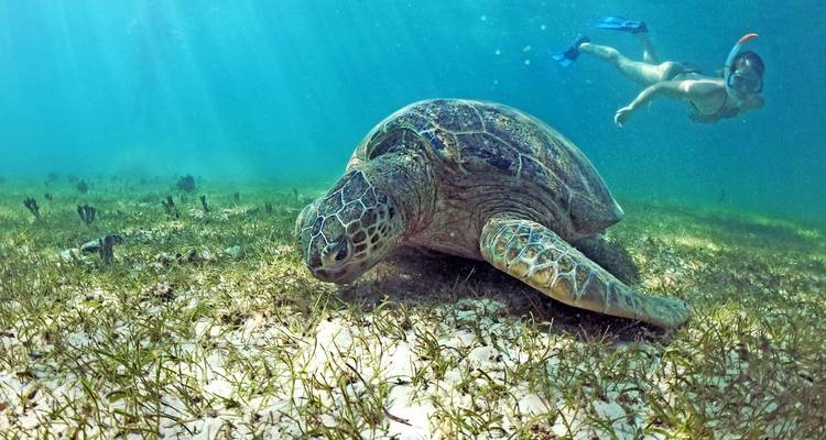 Nosy Be Madagascar - Circuito por la isla - HT Agency Tours 4