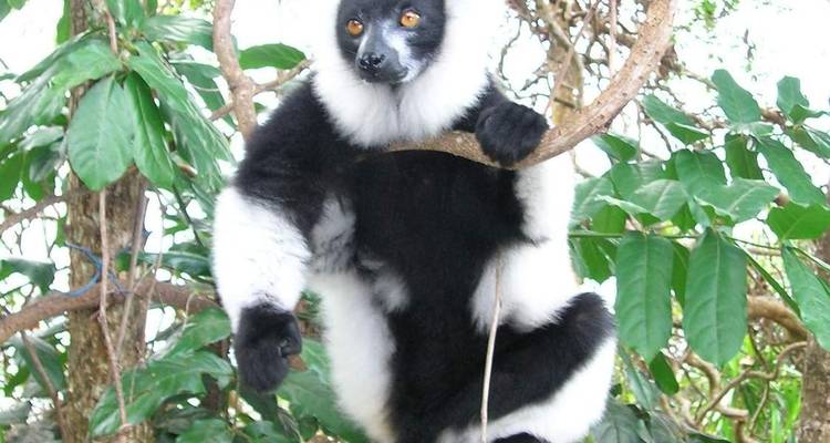 Les perles de Madagascar - HT Agency Tours 1