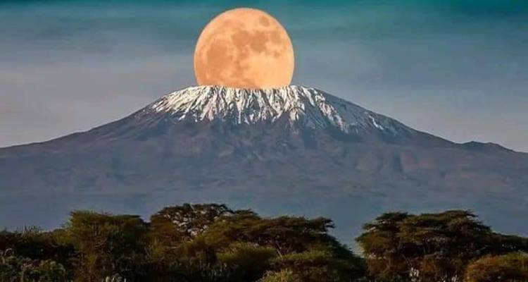 1 Day Materuni Waterfalls & Climbing Via Machame Route 8 Days - kilimanjaro habitas 7