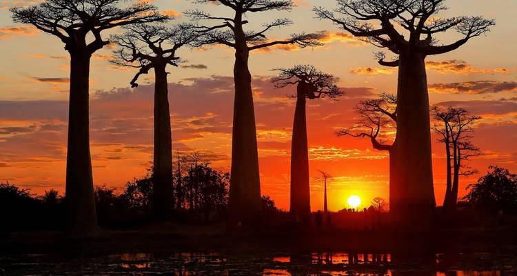 Madagascar | Discovering the wonders of the east, the west and the south - HT Agency Tours 1