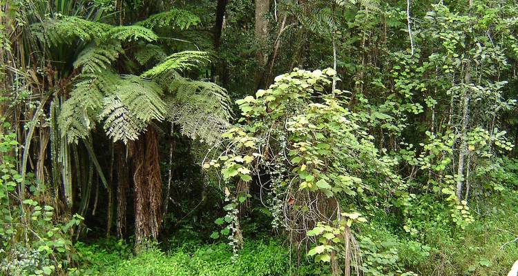 Madagascar | Discovering the wonders of the east, the west and the south - HT Agency Tours 2