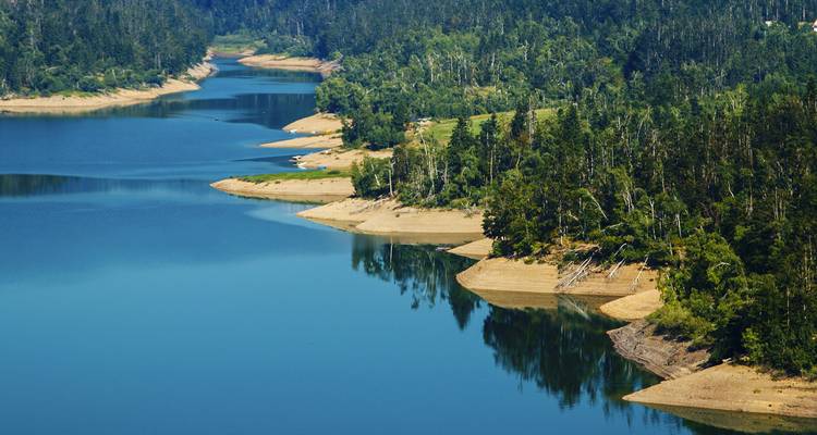 Calm blue reservoir winds through dense evergreen forested hills creating sandy inlets.