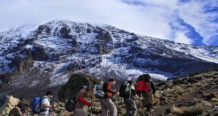 7 días de escalada al Kilimajaro por la Ruta Marangu y 1 viaje de un día al pueblo de Maasai + circuito de un día a las fuentes calientes de Kikuletwa + 3 noches de estancia en hotel - kilimanjaro habitas 3