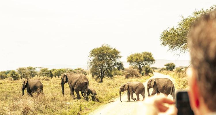 Cycling from Kilimanjaro to Ngorongoro Crater - Click Expeditions 1