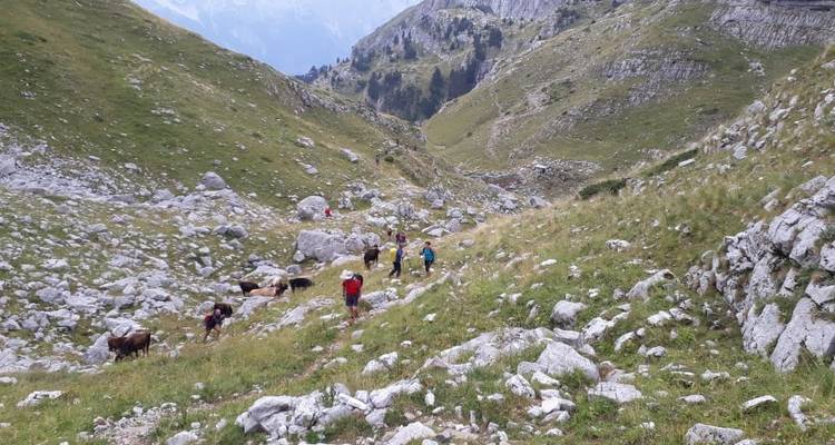 Circuit autoguidé des sommets des Balkans en 10 jours - Choose Balkans 6