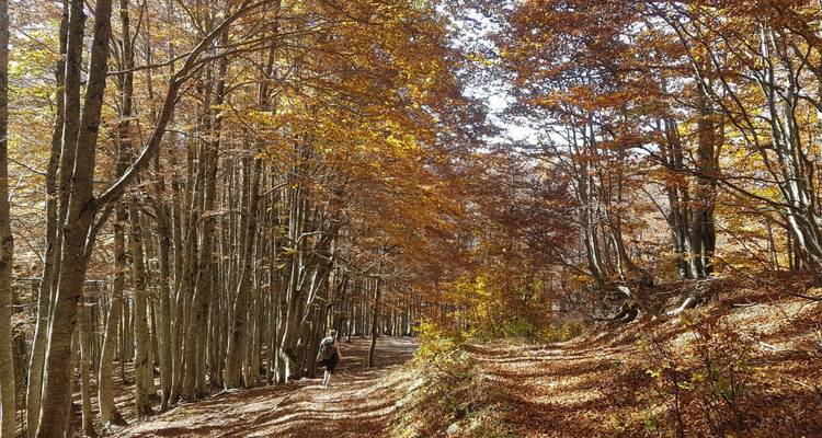 Semi-Private Hiking Tour; Komani Lake & Valbona Valley in 3 Days - Choose Balkans 4