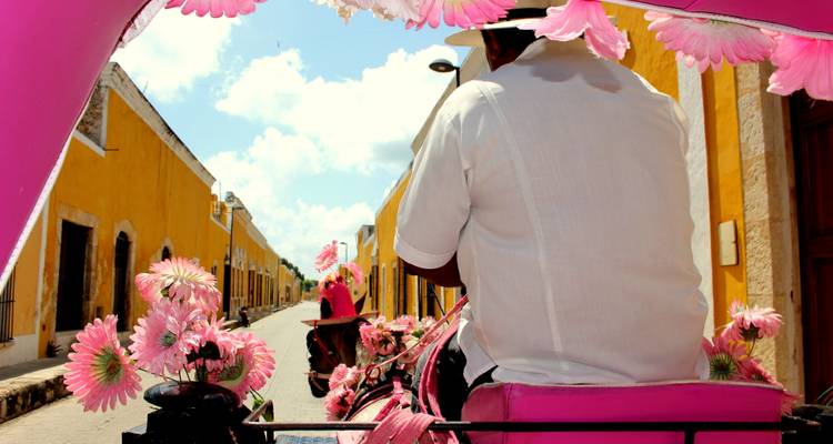 Eine von Pferden gezogene rosa Kutsche, die mit Blumen geschmückt ist, fährt eine hell gelbe Kolonialstraße hinunter.