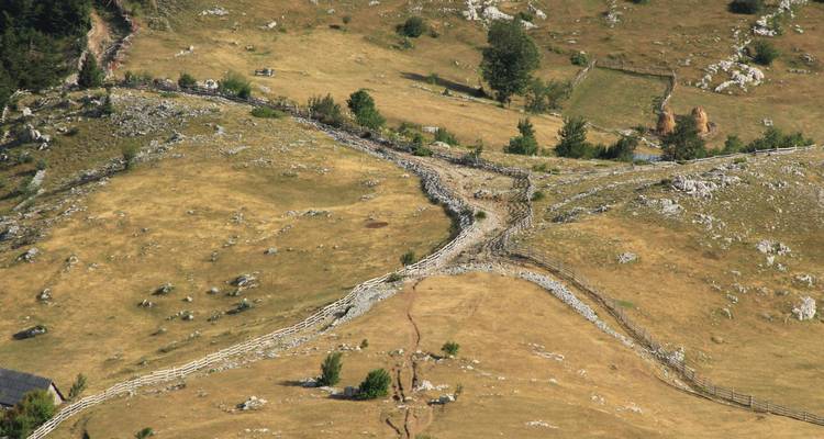 Countryside landscape with winding stone fences.
