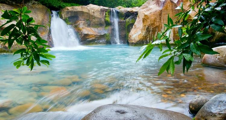 Costa Rica Escape - Wingbuddy 2
