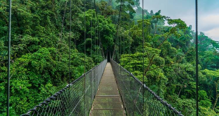 Costa Rica Escape - Wingbuddy 8