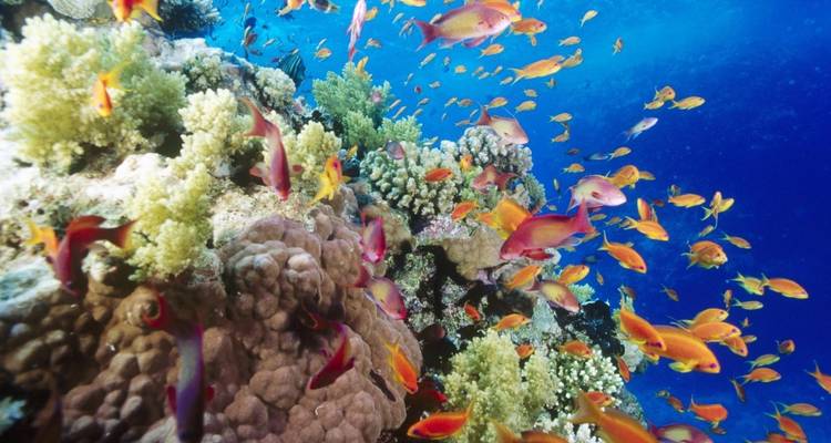 Explorando Egipto - Safina Tours 6