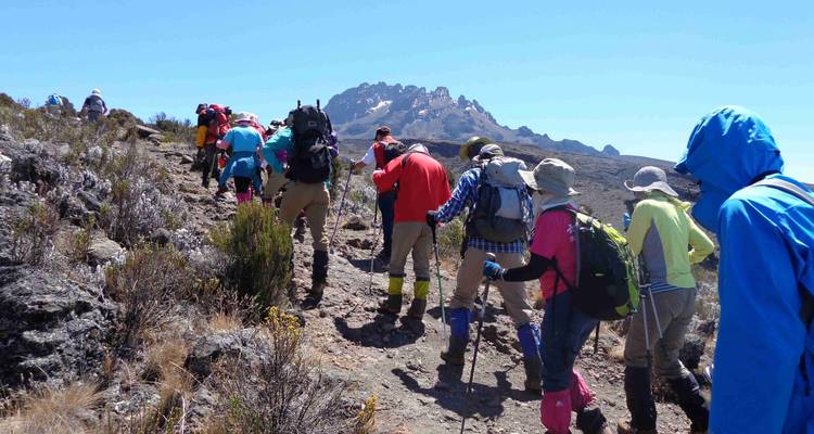 Ascensión al KiLimanjaro por la ruta Lemosho 10 días - alojamiento y transporte incluidos - Click Expeditions 10