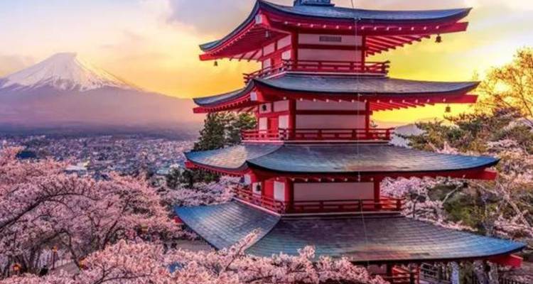 Discover Japan on a Budget: 8-Day Ultimate Starter - Vio Travel 1
