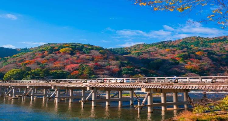 Discover Japan on a Budget: 8-Day Ultimate Starter - Vio Travel 7