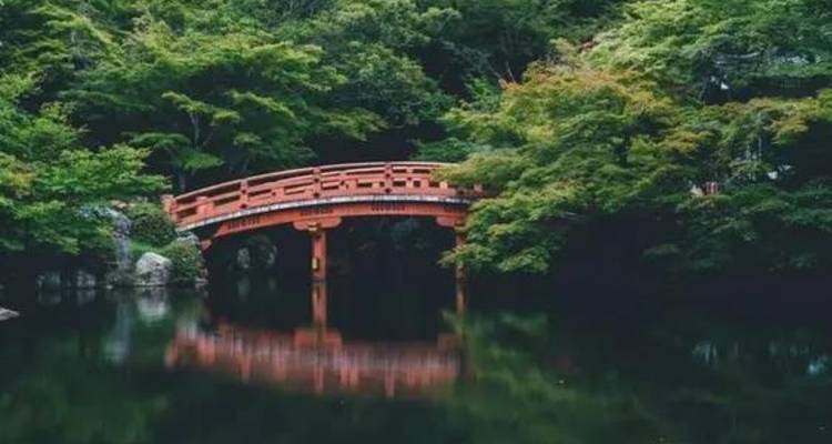 Discover Japan on a Budget: 8-Day Ultimate Starter - Vio Travel 9